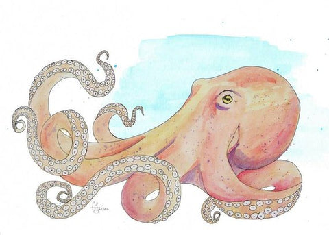 Octopus - giclée print