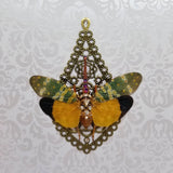 Green and Yellow Lanternfly with Swarovski Crystals