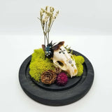 Blue Carpenter Bee and Mink Skull with Swarovski Crystals