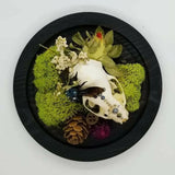 Blue Carpenter Bee and Mink Skull with Swarovski Crystals
