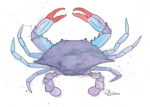 Blue Crab - giclée print