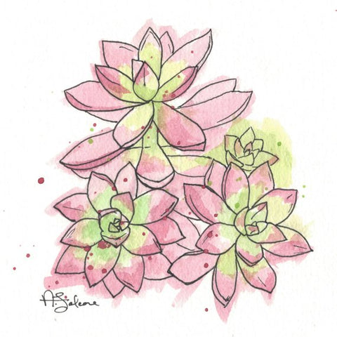 Succulents - giclée print