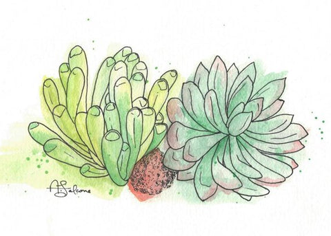 Succulents - giclée print